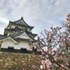 井伊直政はイケメンか
